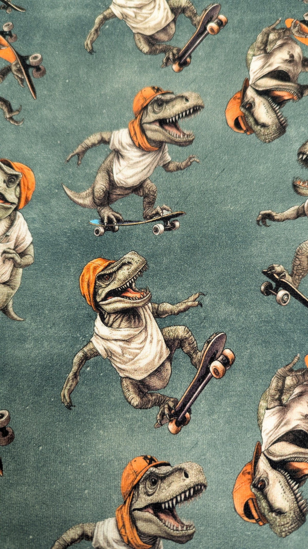 Organic Cotton French Terry - Skater Dinos