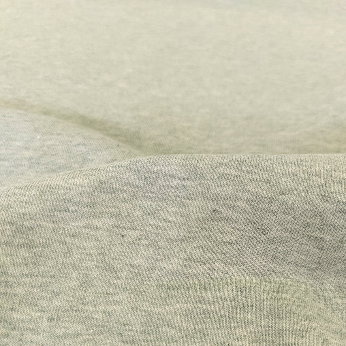 Fleece Backed Sweatshirting - Desert Mint
