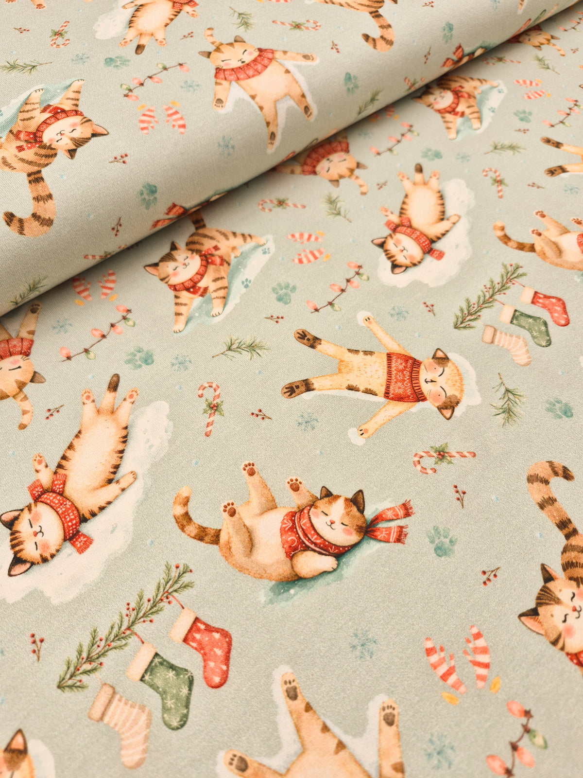 Organic Cotton Jersey - Christmas Snow Cats