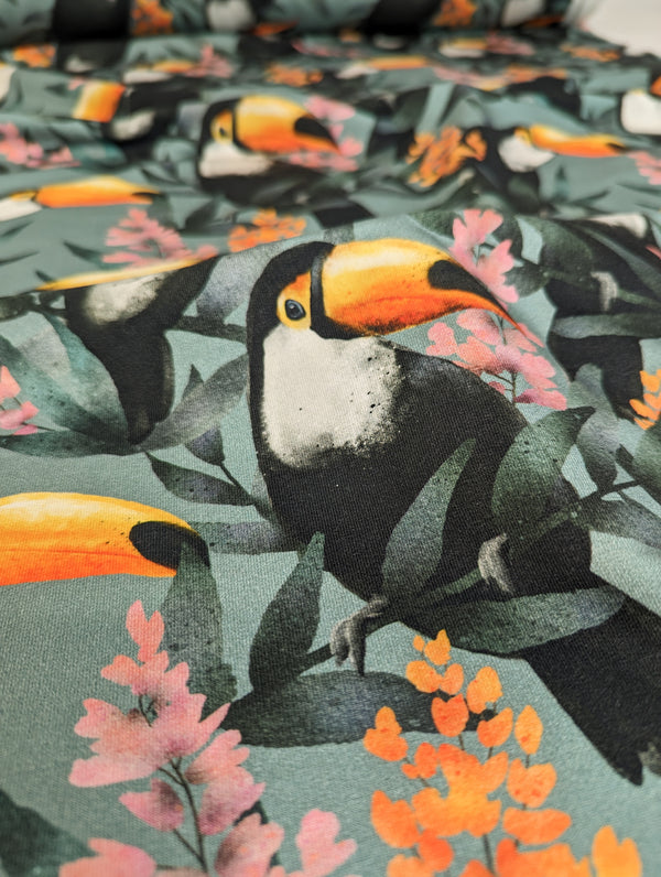 Remnant: Organic Cotton French Terry - Toucan (1.45 metres)